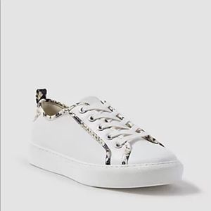 Ann Taylor Natalia snake trim leather sneakers 7 1/2• New In Box!